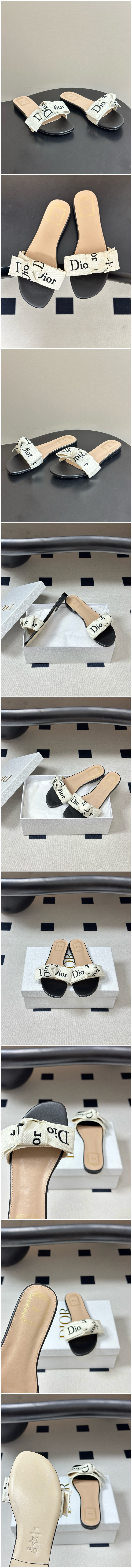 240.jpg